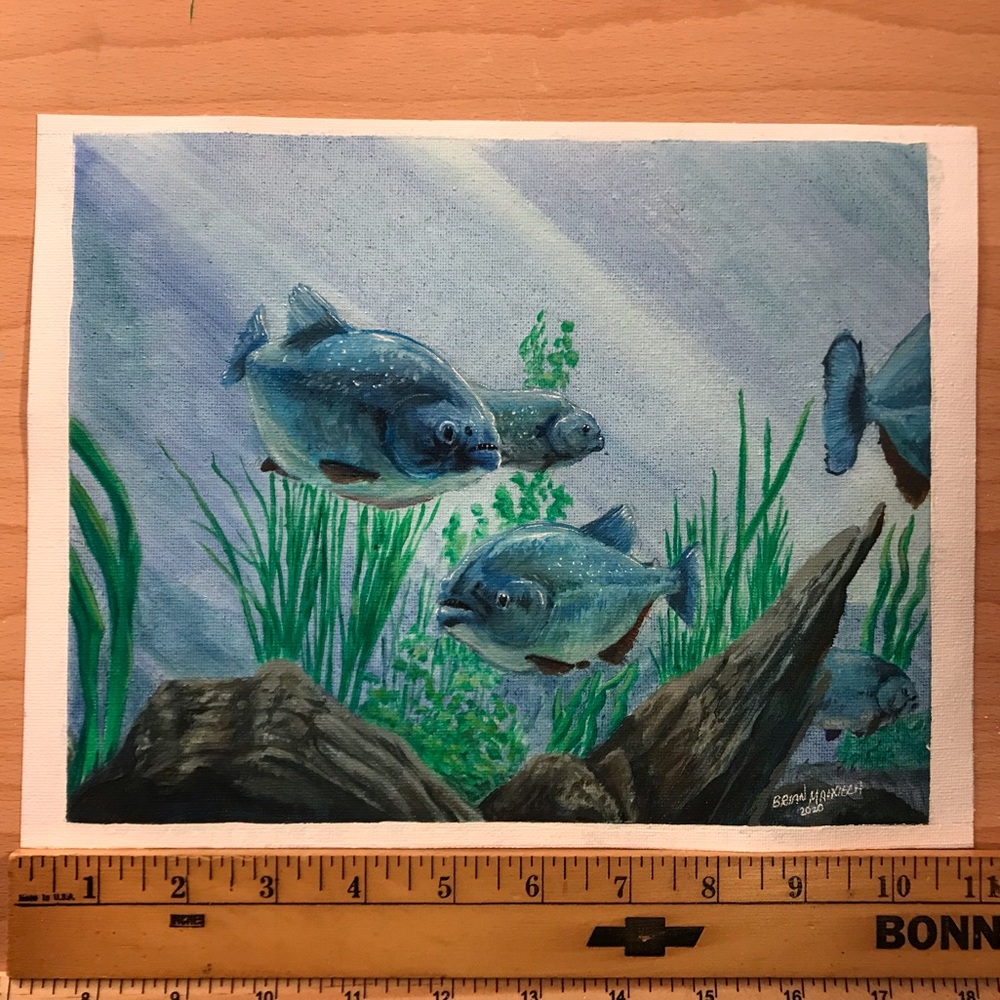 Piranhas Oil painting custom artwork for the fish loving fan